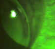2001_03_f.jpg (6130 bytes)